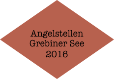 


Angelstellen
Grebiner See
2016